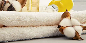 wellness-spa